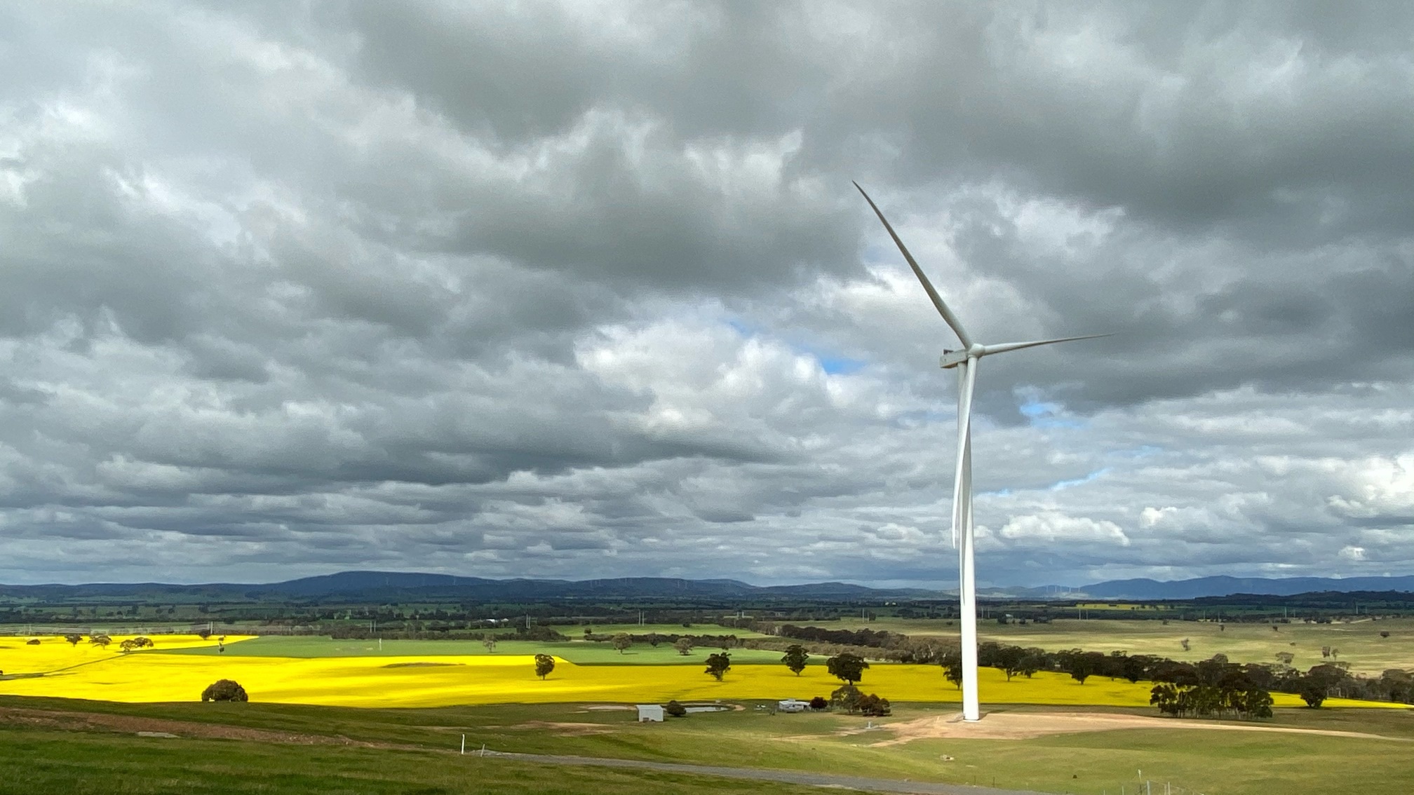 photo-wind-farm.png