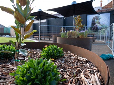 Stawell_PUP_WIP_LoRes-5