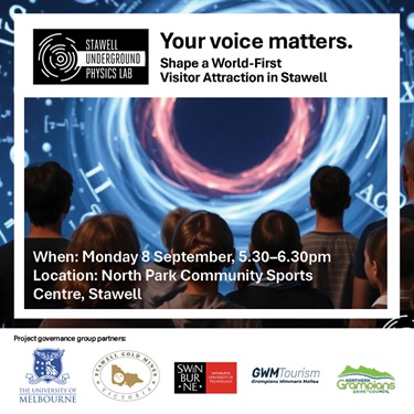 Your Voice Matters Flyer