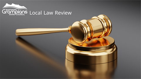 Local Law Review.png
