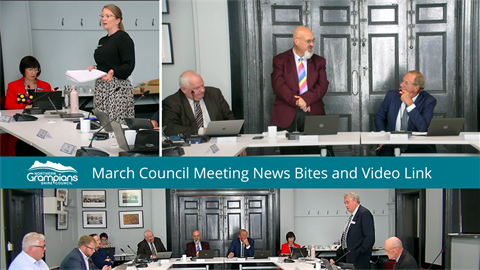 March Council Meeting is online.png