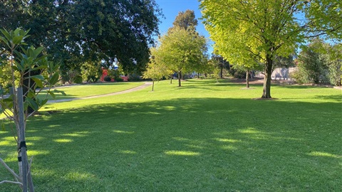 Central-1 pop up yoga.jpg