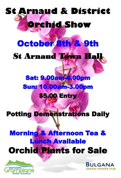St Arnaud Orchid Show 2022.JPG
