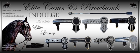 elite canes contenders.jpg