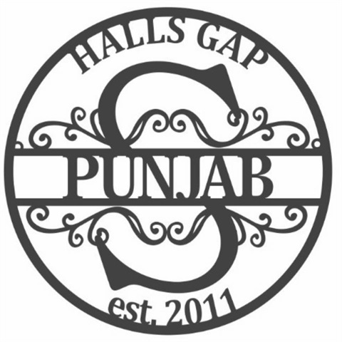 spirit of punjav.jpg