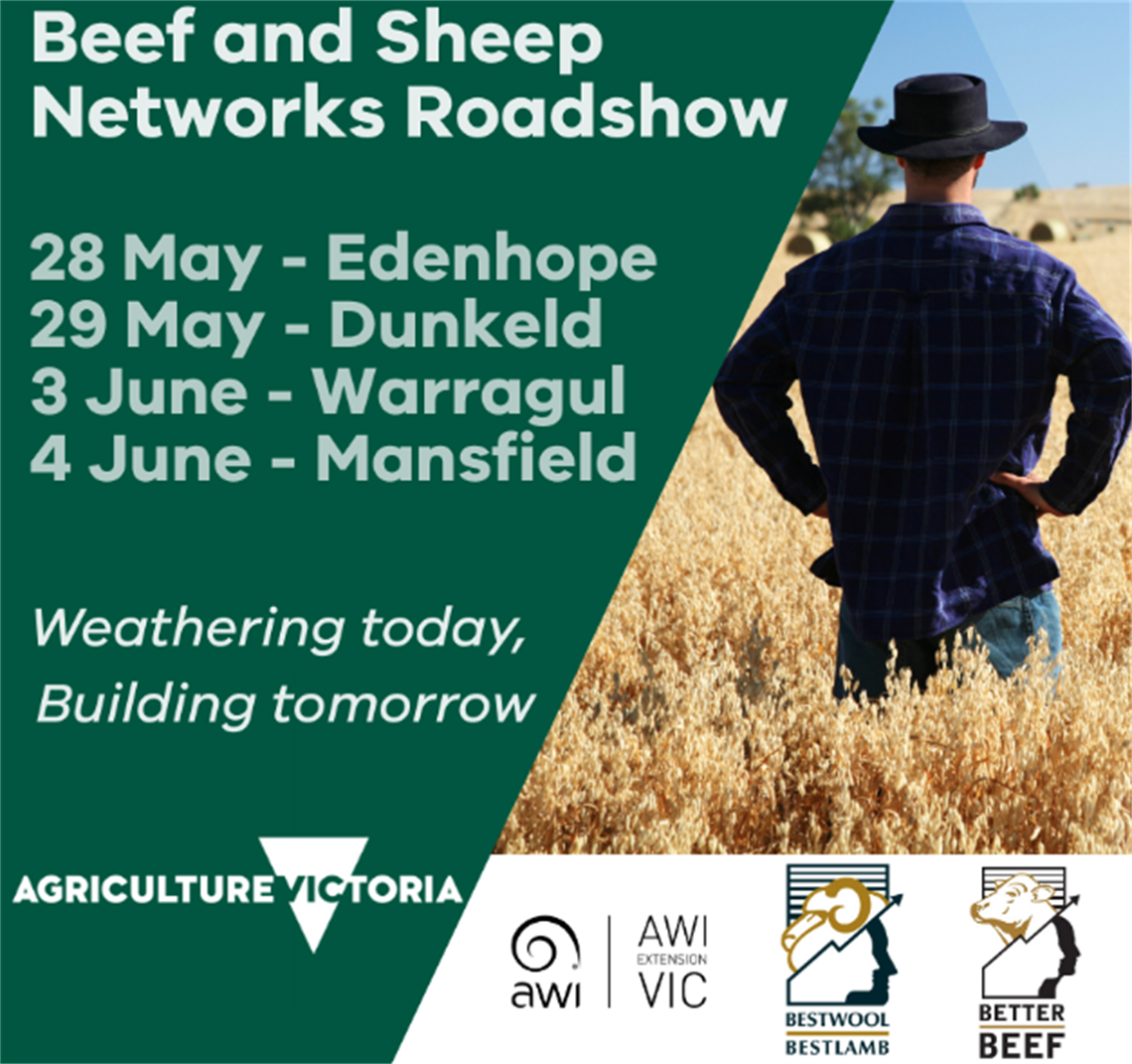 Screenshot 2025-05-13 112936.png