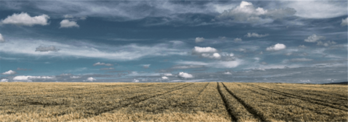 Screenshot 2025-06-10 163557.png