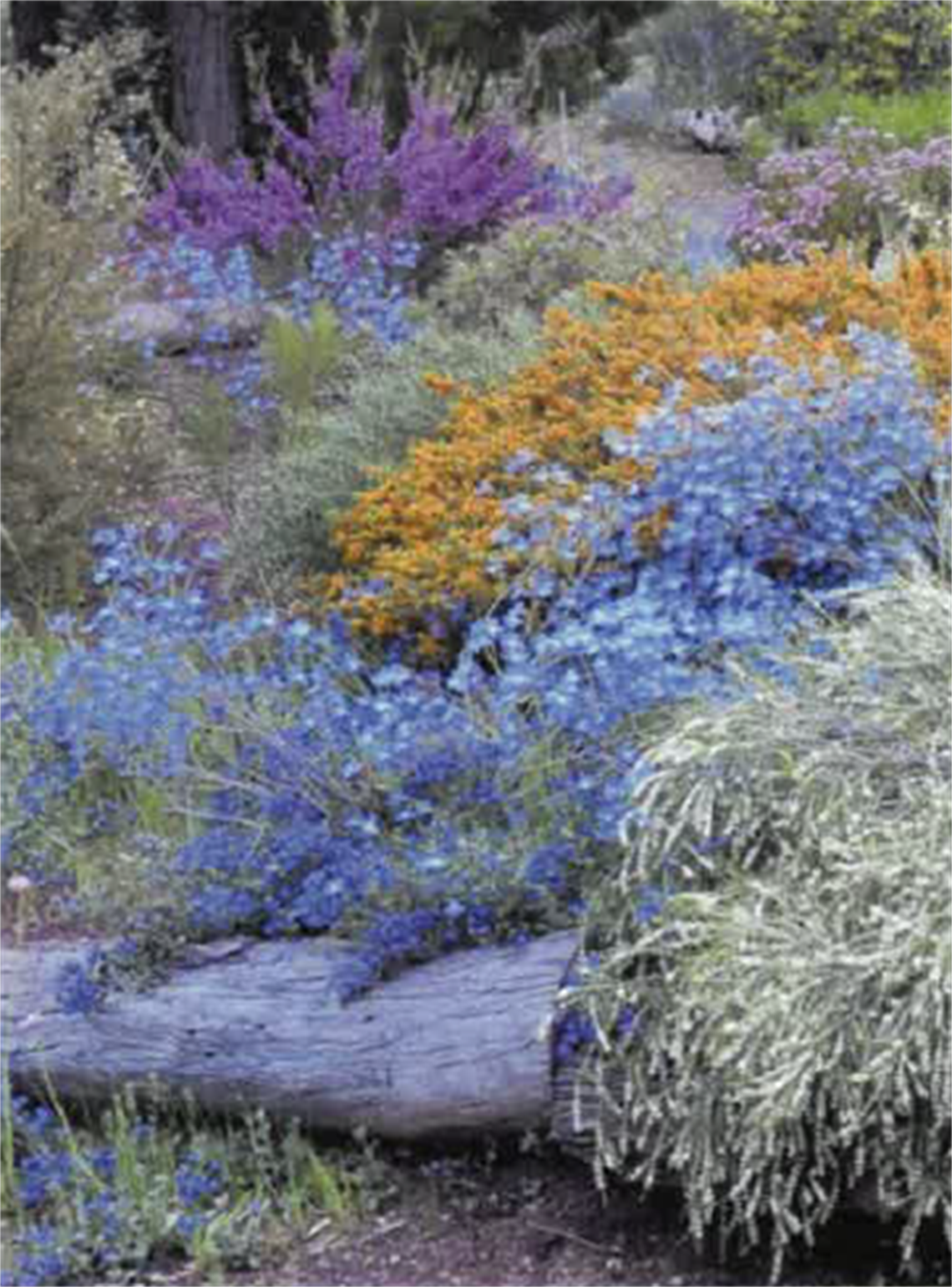 Screenshot 2025-08-25 134837.png