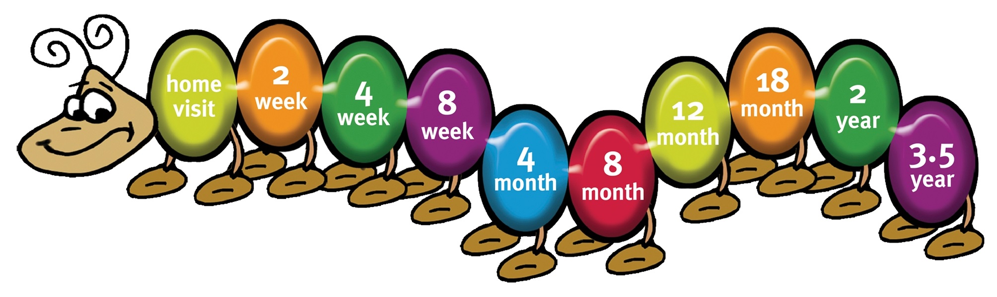 caterpillar-key-ages-and-stages.jpg